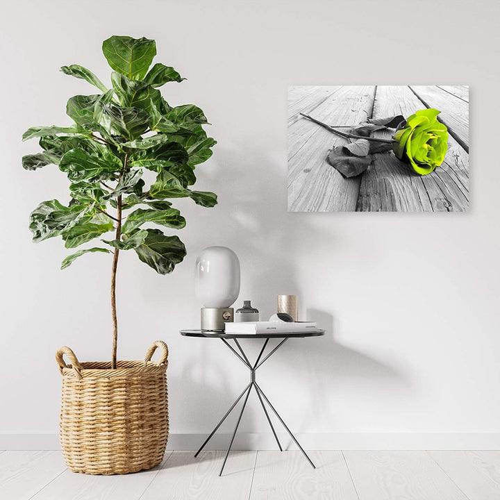 Wanddeko Rose Kunst modern Bilder Natur Grün 100x70 cm M14563 100x70 cm, M14563 100x70 cm