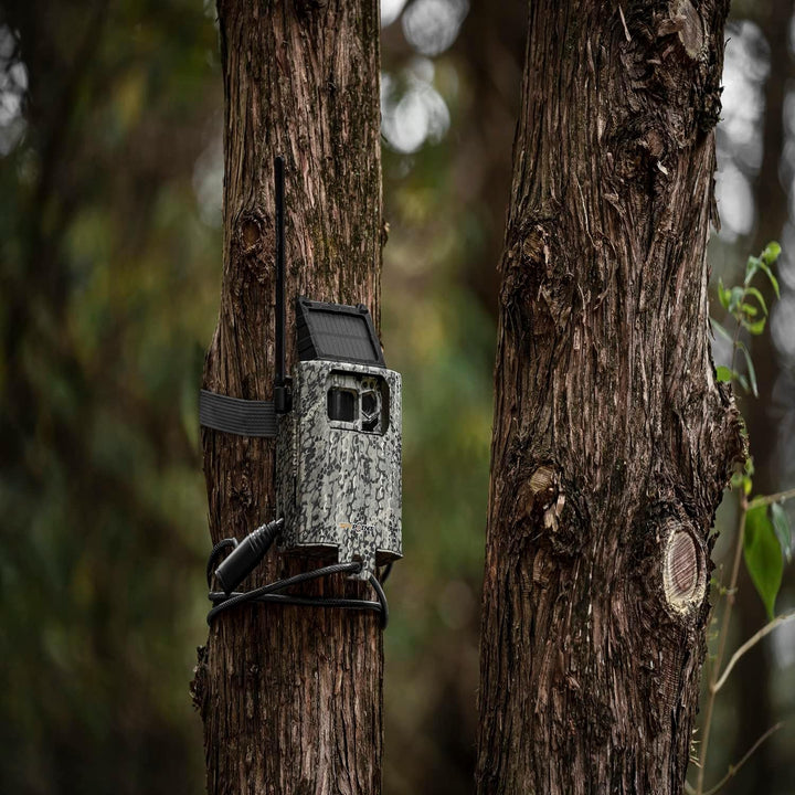 Spypoint SB-300S Metallgehäuse aus verzinktem Stahl/Wildkamera-Schutzgehäuse/Anti-Diebstahl-Sicherhe