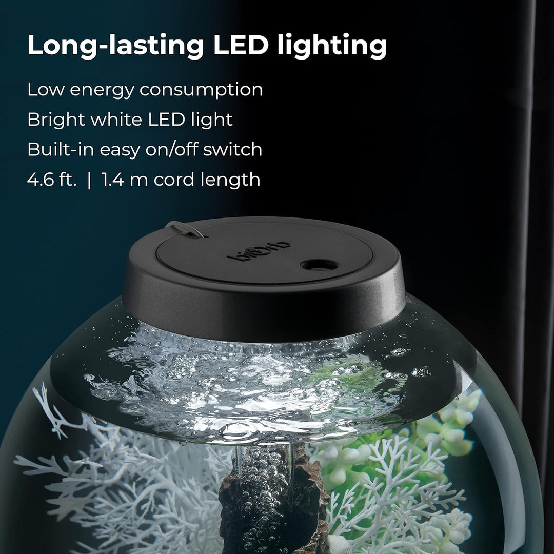 biOrb 72005 CLASSIC 30 LED schwarz - dekoratives Aquarium Komplett-Set mit Filter-System, LED-Beleuc