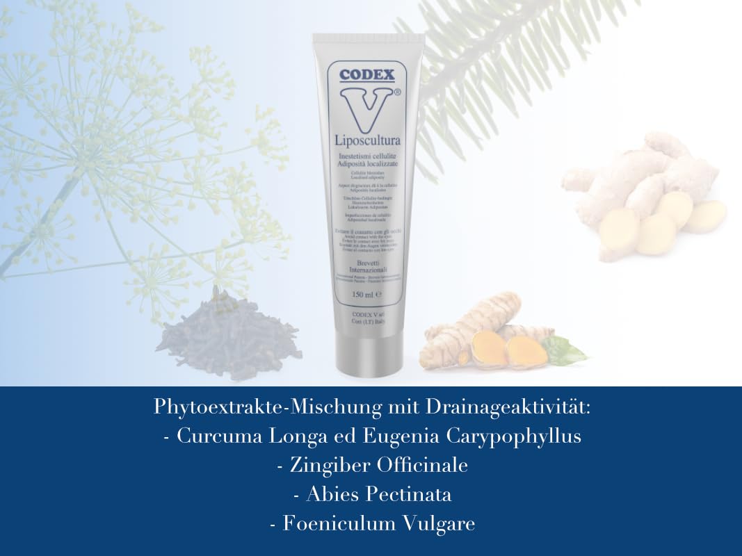 V Liposcultura