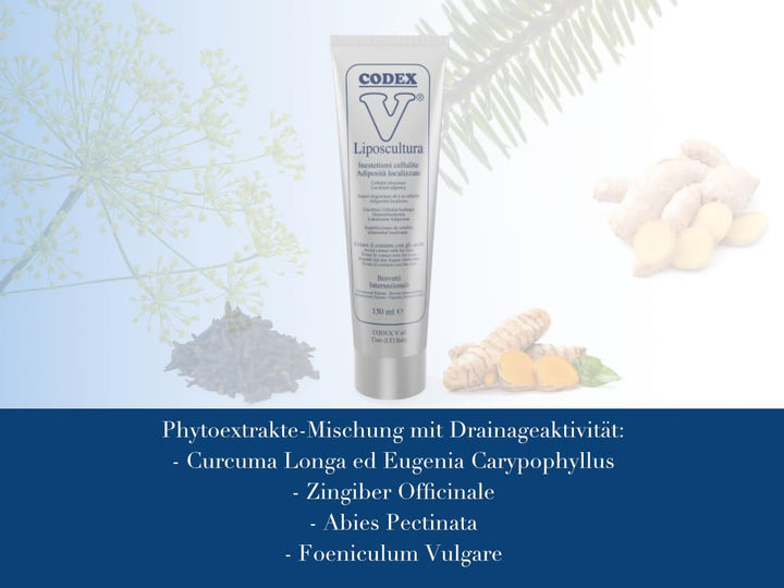 V Liposcultura