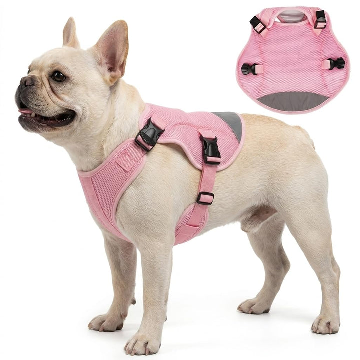 Kühlweste Hund S, Atmungsaktive Hundekühlweste für kleine Hunde, Verdunstungskühlung, Saugfähiges Ma
