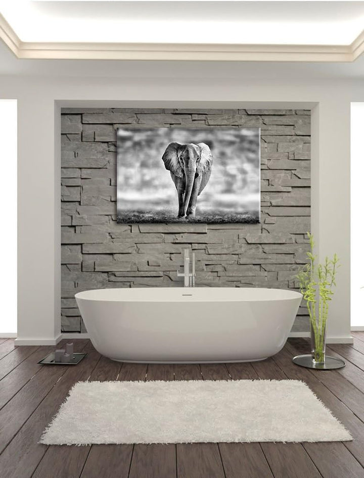 Pixxprint Einsamer Elefant Schwarz-Weiss als Leinwandbild/Grösse: 100x70 cm/Wandbild/Kunstdruck/fert