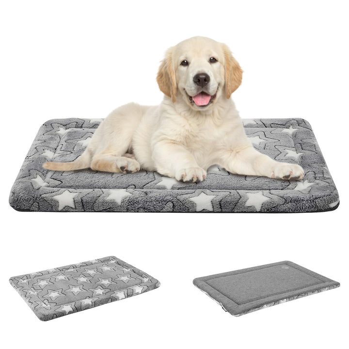 EMPSIGN Hundebett Mittelgrosse Hunde, Waschbar Hundekissen (kühl und warm), Hundematte aus hochdicht