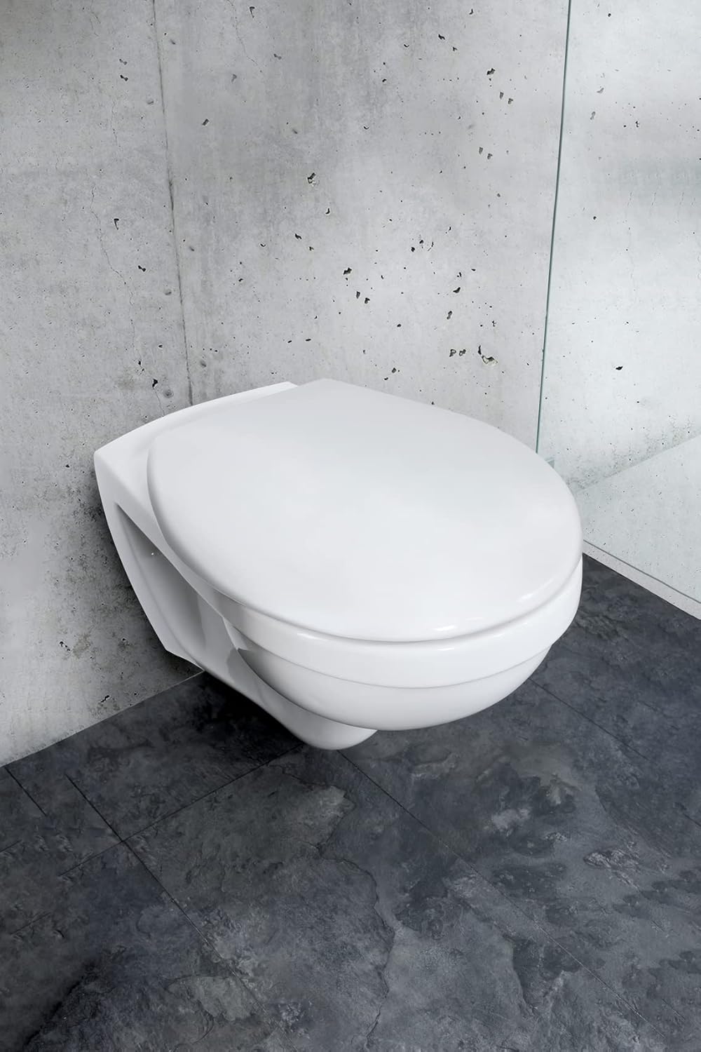 WENKO Toilettendeckel mit Absenkautomatik, oval, belastbar bis 175 kg, Klodeckel aus antibakterielle