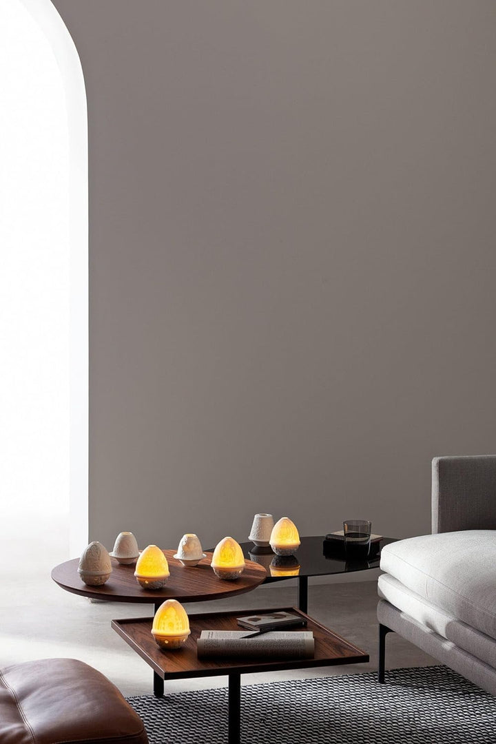 LLADRÓ Lithophanie Mit Teller Papageien. Litophane. Porzellan.