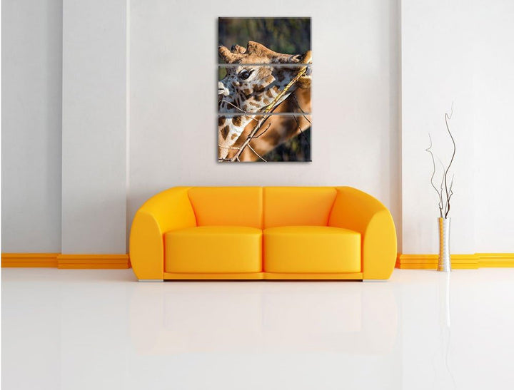 Pixxprint fressende Giraffe als Leinwandbild/Grösse: 3 Teilig (120x80) cm/Wandbild/Kunstdruck/fertig