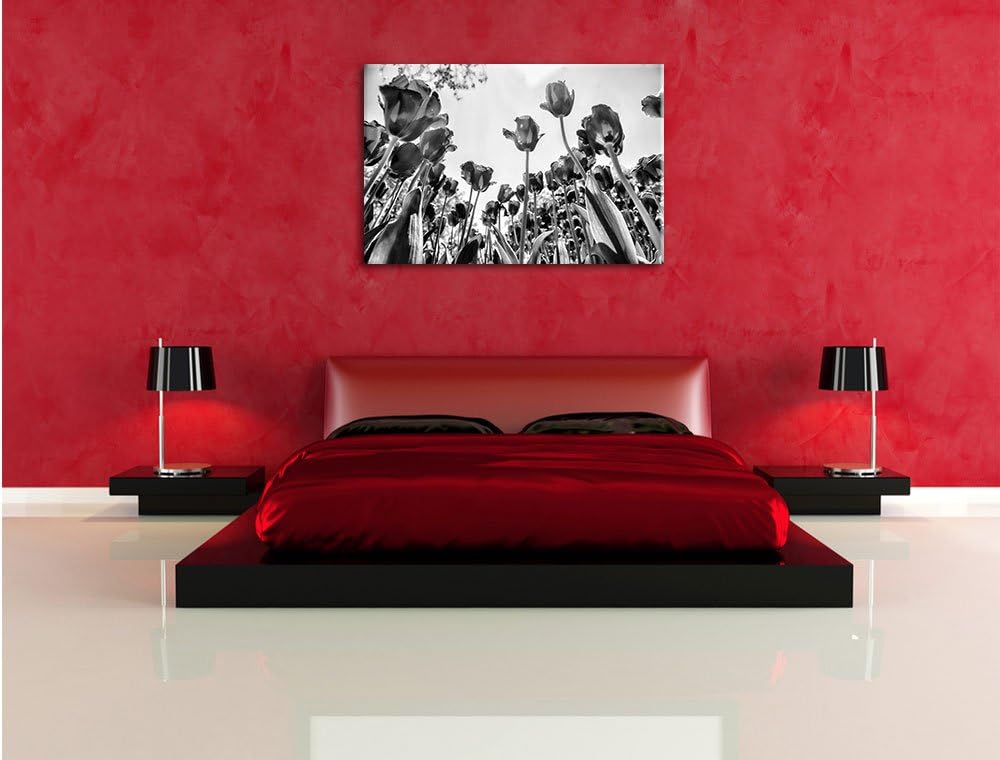 Monocrome, Rosenfeld, Format: 100x70 auf Leinwand, XXL riesige Bilder fertig gerahmt mit Keilrahmen,