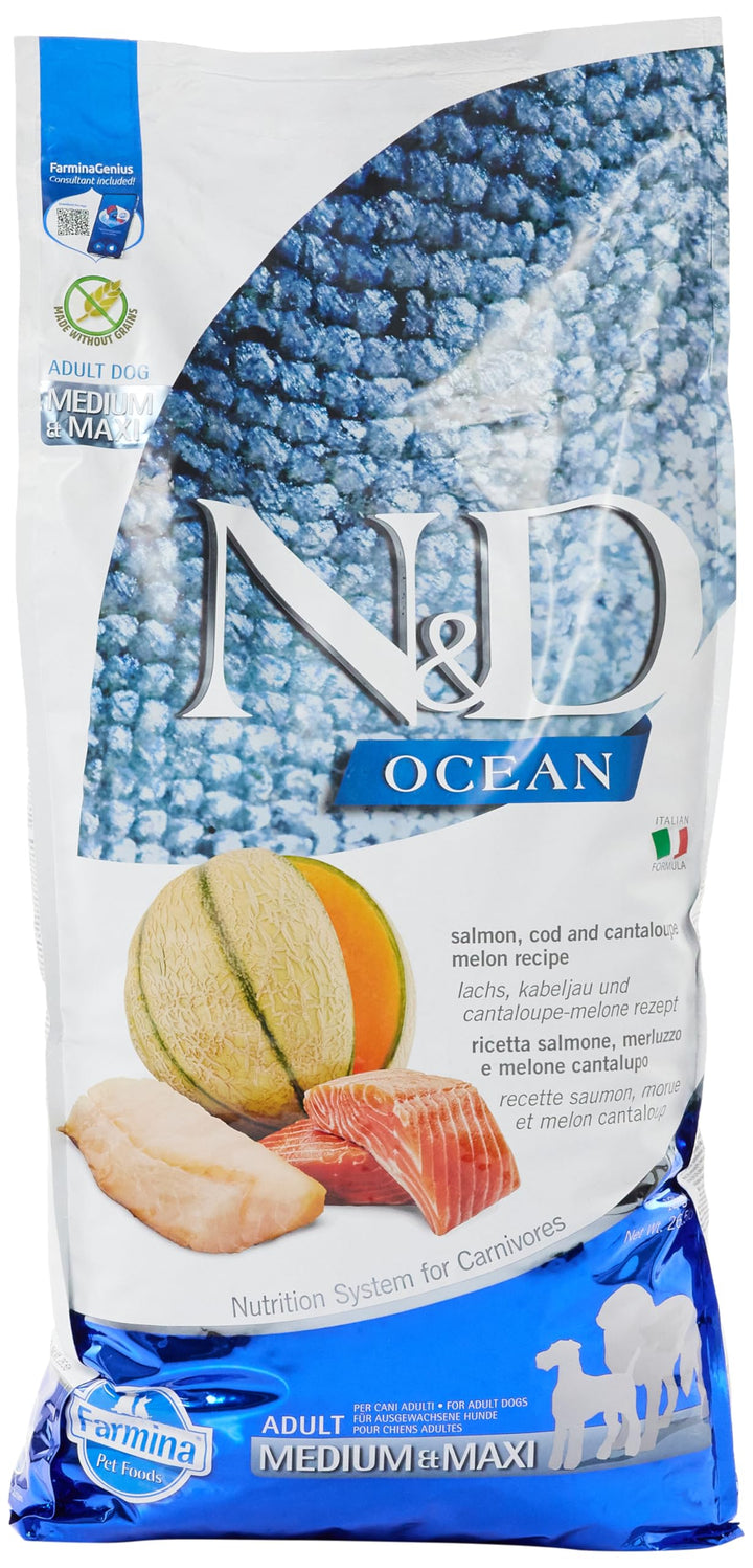 N&D Ocean Dog Salmon, COD and Cantaloupe Melon Adult MEDIUM & Maxi 12 KG