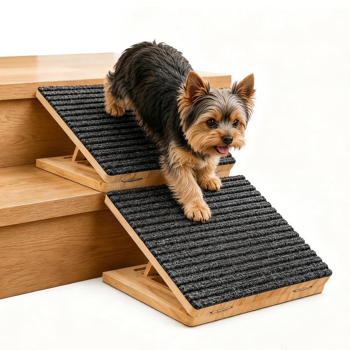 2 Stück Hunderampe mit rutschfest Filz für Kleine & Ältere Hunde Bis 45KG | Klappbar & Leicht Treppe