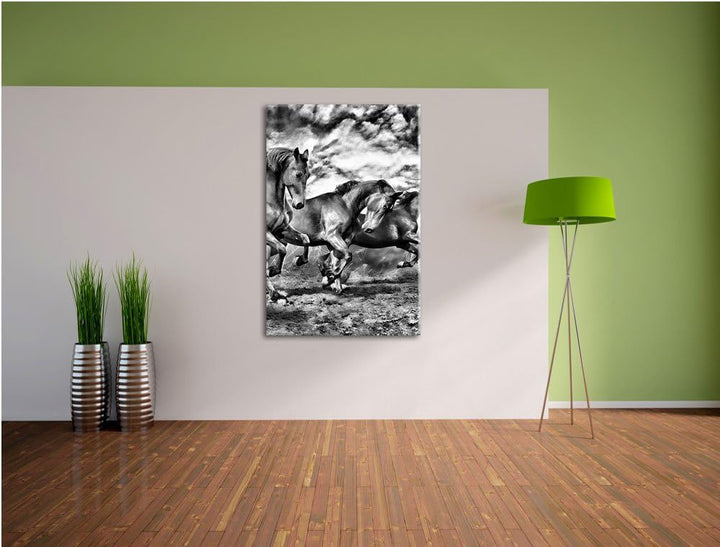 Monocrome, Wildpferde , Format: 100x70 auf Leinwand, XXL riesige Bilder fertig gerahmt mit Keilrahme