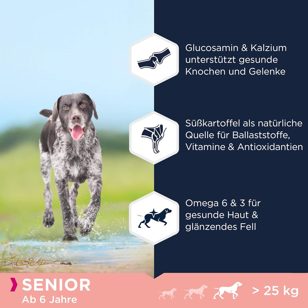 Eukanuba Hundefutter getreidefrei mit Fisch für grosse Rassen - Trockenfutter für Senior Hunde, 12 k