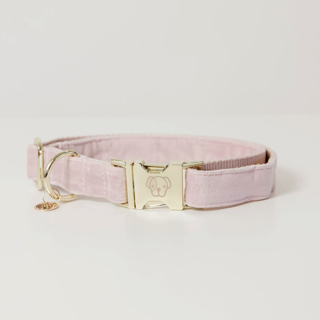 Kentucky Dogwear Halsband Dog Collar &