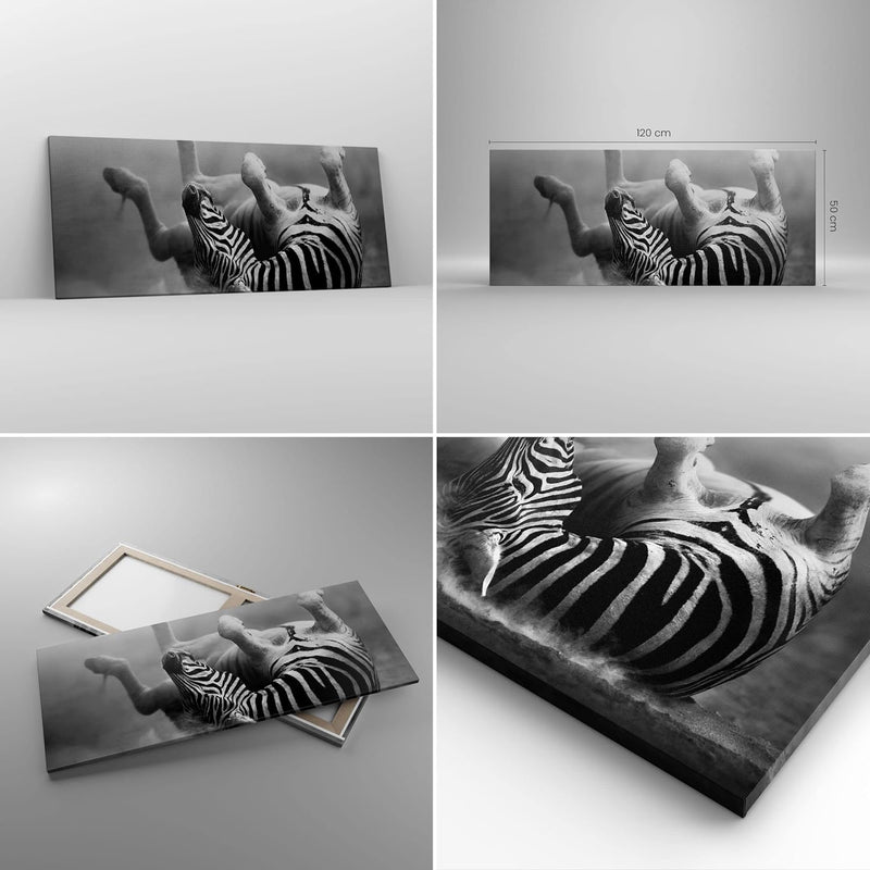 Wandbilder Dekoration Wohnzimmer Zebra Streifen Tier wild Panorama Bilder auf Leinwand 120x50cm Lein