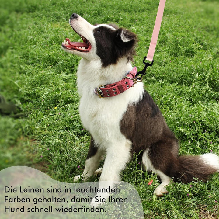 Schleppleine für Hunde, Schleppleine 5m/10m/15m/20m mit Handgriff und D-Ring, Wasserdicht und Leicht