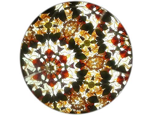 Kaleidoskop Konstruktor für Kinder, originales Design mit Blumen, natürliche Materialien, Spielzeug,