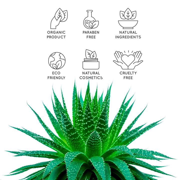 After Sun Gel Aloe Vera und Lavendel 1000ml Erfrischend, Reparierend für Gesicht und Körper, nach de