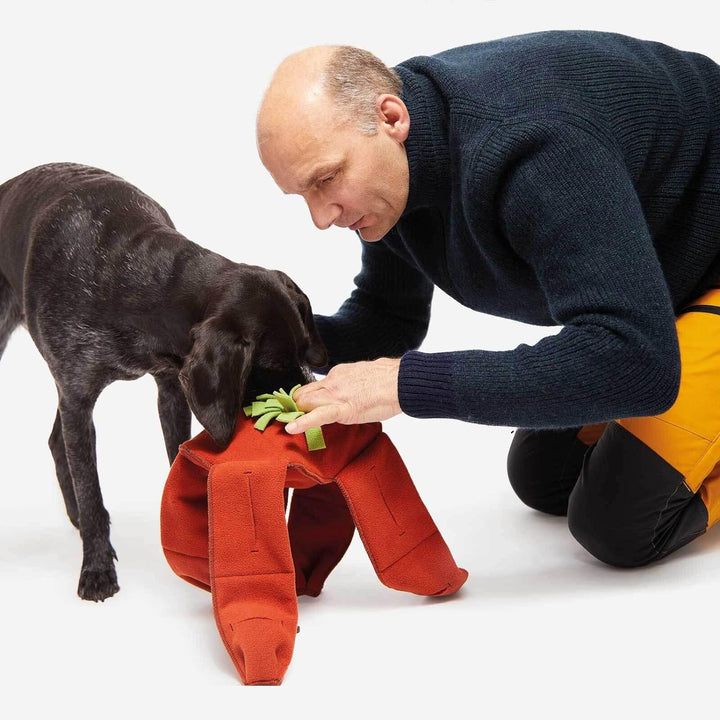 KNAUDERS Best Sniffstar - Von einfach bis knifflig - von Knauder's Best