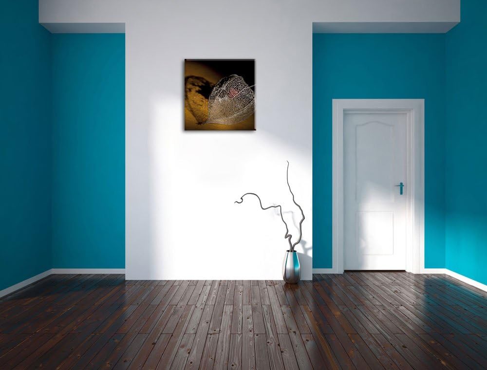 Schatten einer Physalis, Format: 70x70 auf Leinwand, XXL riesige Bilder fertig gerahmt mit Keilrahme