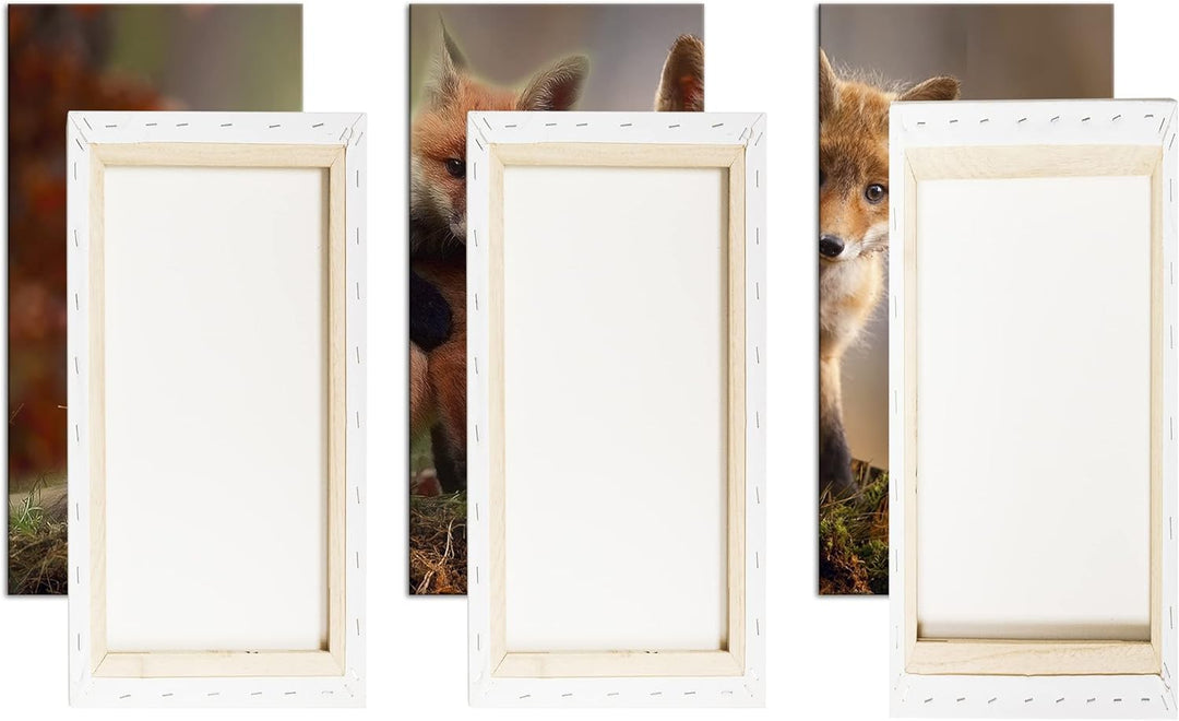 deyoli Kleine Familie von Rotfüchsen Format: 3-teilig 120x80 als Leinwand, Motiv fertig gerahmt auf