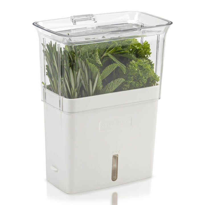 Cole & Mason H105159 Tealby Kräutertopf für frische Kräuter, Schnittkräuter Box/Schnittkräuterbox/Kr