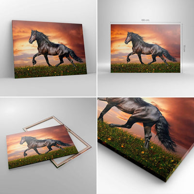 Bilder auf Leinwand 100x70cm Leinwandbild mit Rahmen Pferd Tier Wiese Gross Wanddeko Bild Schlafzimm