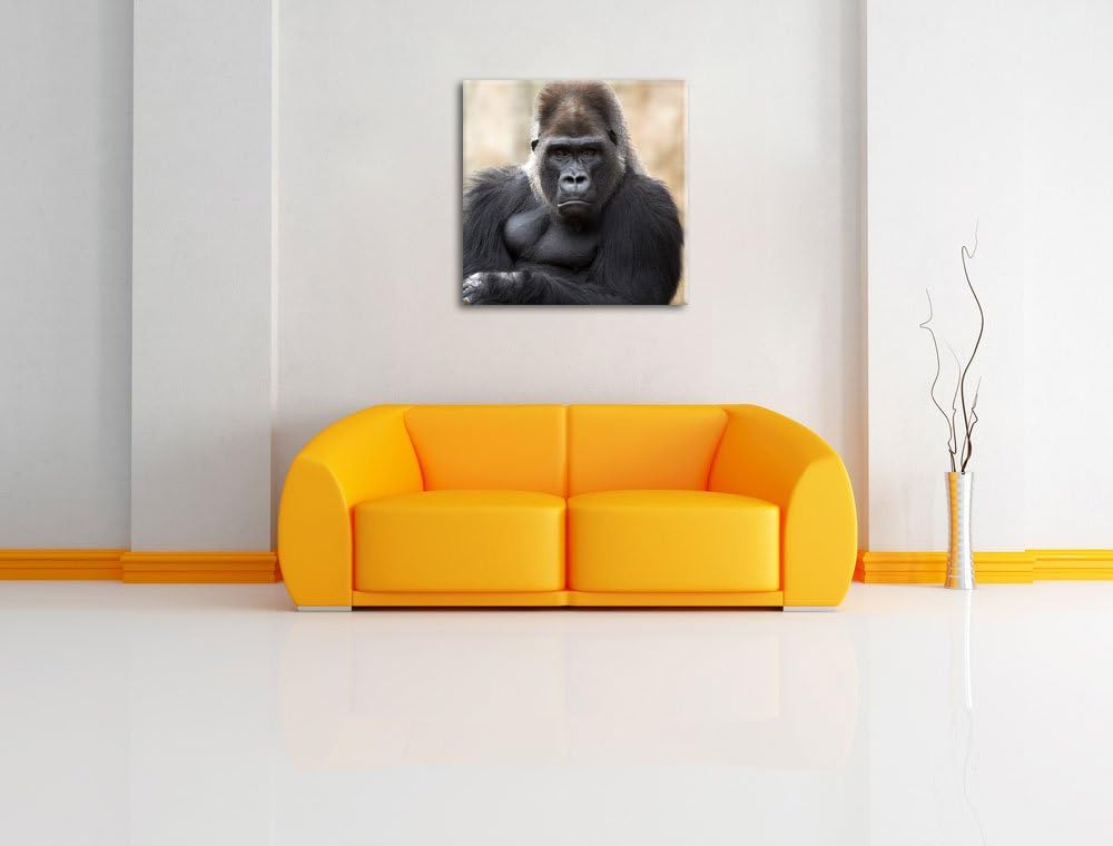 gelangweilter Gorilla, Format: 70x70 auf Leinwand, XXL riesige Bilder fertig gerahmt mit Keilrahmen,