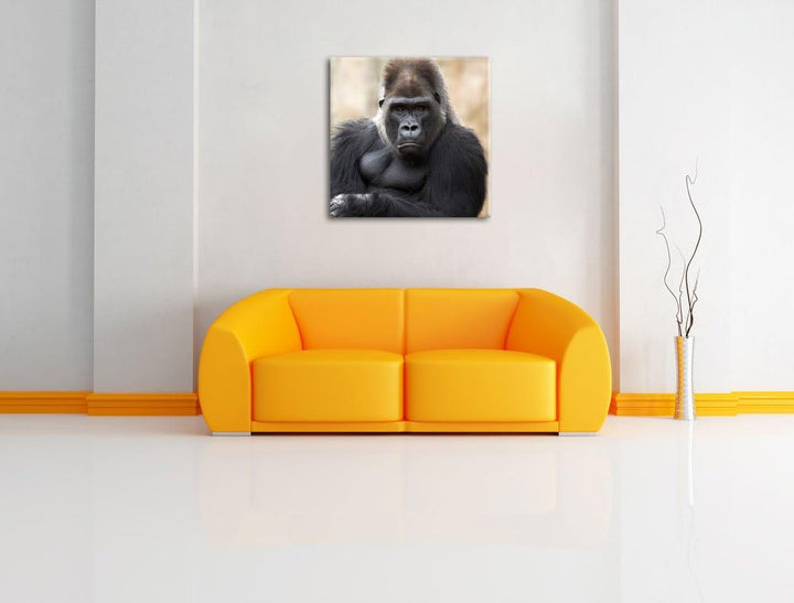 gelangweilter Gorilla, Format: 70x70 auf Leinwand, XXL riesige Bilder fertig gerahmt mit Keilrahmen,