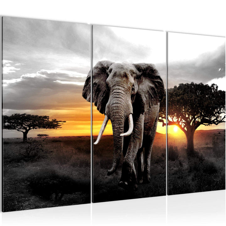Runa Art Wandbilder Afrika Elefant Bild XXL Wohnzimmer Schlafzimmer Grau Orange Panorama 120 x 80 cm