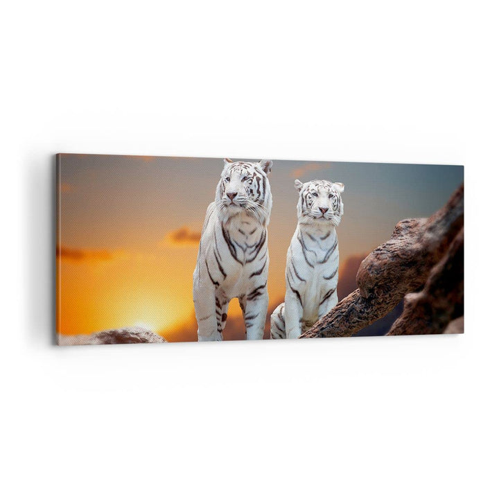 Panorama Bilder auf Leinwand 100x40cm Leinwandbild Tiger weiss Rock Sonnenuntergang Gross Wanddeko B