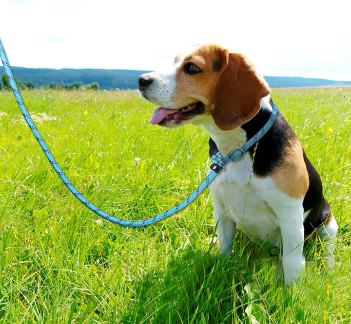TagME Retrieverleine mit Zugstopp,Reflektierende Seilleine 185 cm Moxonleine,Weicher gepolsterter Gr