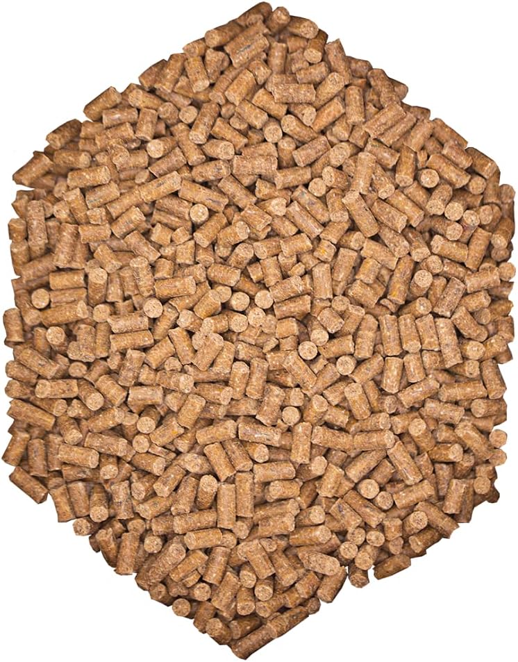 St.Hippolyt Wes Bodyguard - 10kg Muskel & Mineral