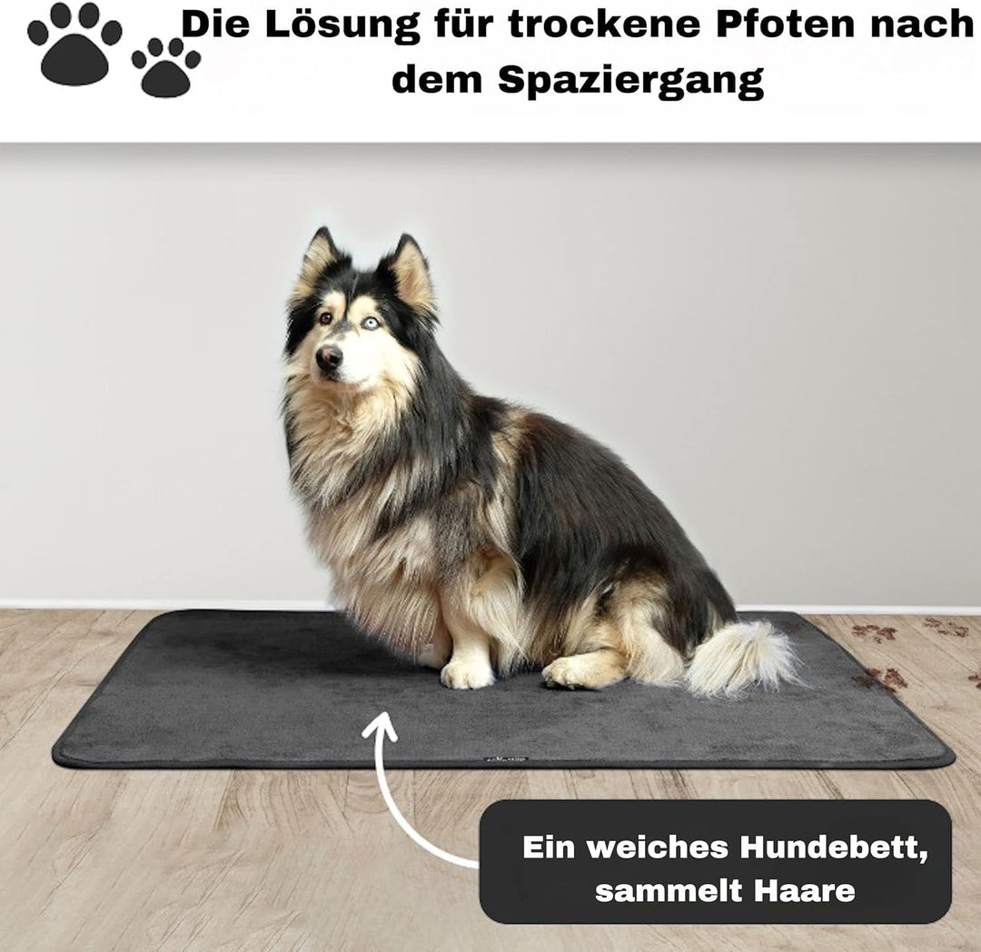 Aladino il tappeto Magico® Premium Fussmatte Für Den Eingangsbereich - Waschbarer Teppich Schmutzfan
