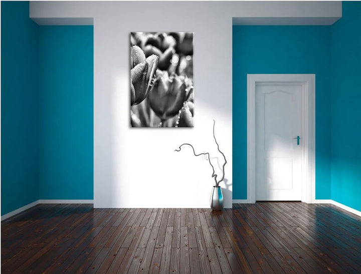 Pixxprint Monocrome, Pinke Tulpen mit Morgentau, Format: 100x70 auf Leinwand, riesige Bilder fertig