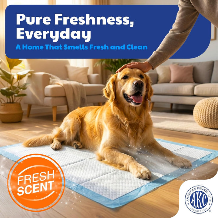 American Kennel Club 50 x XL-Trainingsunterlagen, 76,2 x 71,1 cm, 50 Count - (XL 28 x 30)
