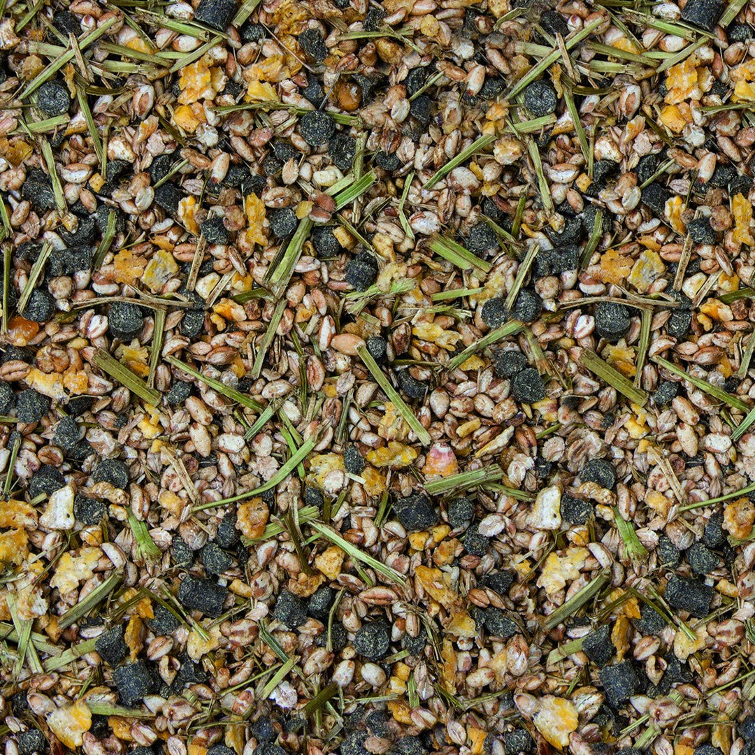 Höveler Original Oldie-Mix, 20 kg, Oldie