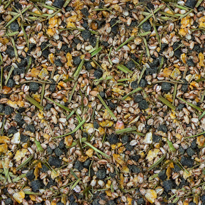 Höveler Original Oldie-Mix, 20 kg, Oldie