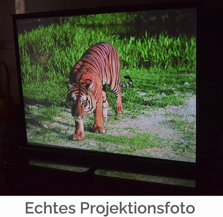 Cocar 50"(Diagonale 40" x 30") Planlage Tragbare Projektionsleinwand für Mini/Professionelle LED/LCD