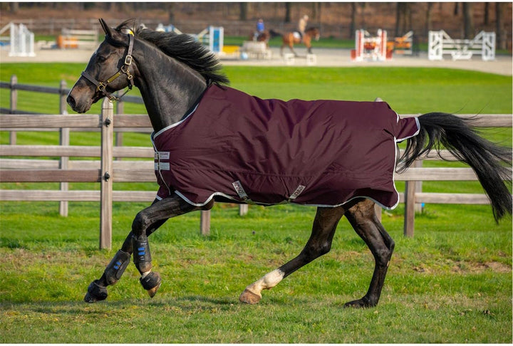 Horseware Amigo Hero Ripstop 50g Turnout Decke wasserdicht Fig/Silver 6'9, 6&apos;9