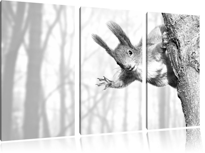 Pixxprint Neugierig rotes Eichhörnchen Kunst B&W 3-Teiler Leinwandbild 120x80 Bild auf Leinwand
