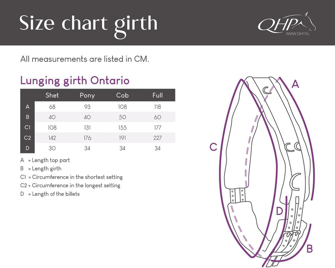 QHP Ontario Longiergurt, Grösse:Pony, Farbe QHP:Sky Pony sky, Pony sky