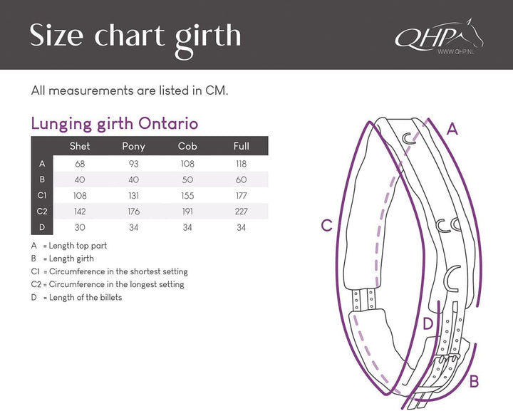 QHP Ontario Longiergurt, Grösse:Pony, Farbe QHP:Sky Pony sky, Pony sky
