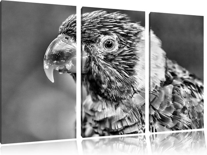 Pixxprint farbenfroher Papagei als Leinwandbild/Grösse: 3 Teilig (120x80) cm/Wandbild/Kunstdruck/fer