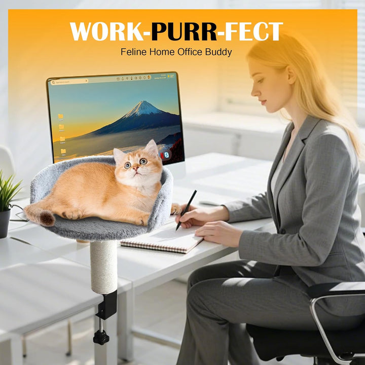 Katzenbett für Schreibtisch, Katzenliege Katzenhängematte mit Kratzsäule und Plüschpolsterung, Katze