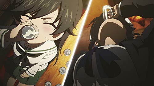 Girls und Panzer - Das Finale: Teil 1 - Limited Edition, DVD