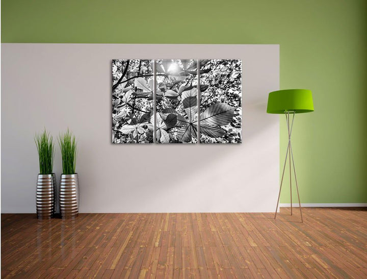 Pixxprint Monocrome, Grüne Blätter 3-Teiler Leinwandbild 120x80 Bild auf Leinwand