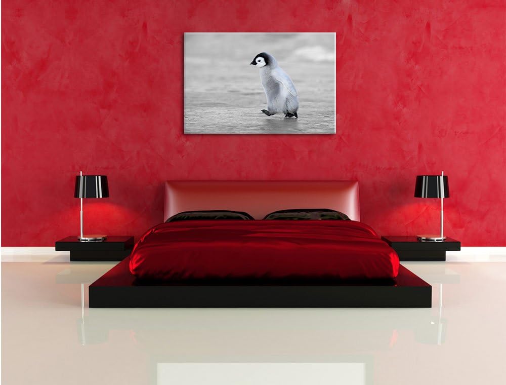 Pixxprint Niedliches Kaiserpinguinkücken als Leinwandbild/Grösse: 100x70 cm/Wandbild/Kunstdruck/fert