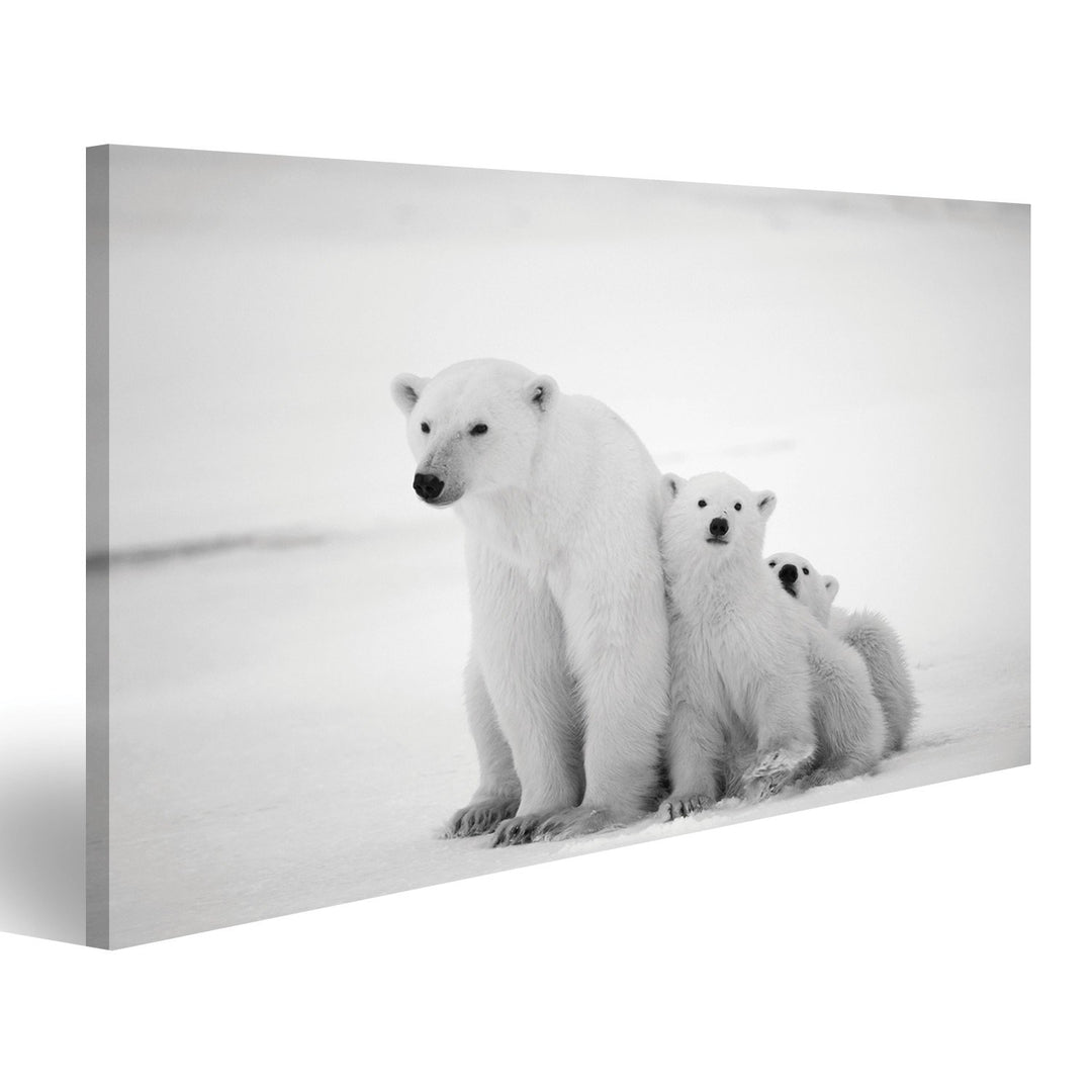 islandburner Bild Bilder auf Leinwand Eisbären Familie Poster, Leinwandbild, Wandbilder 100x57 1-tei