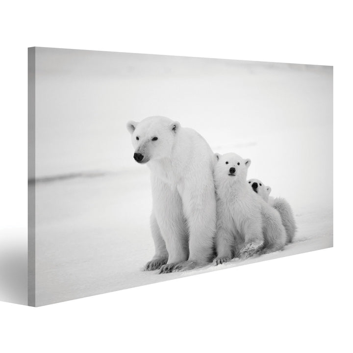 islandburner Bild Bilder auf Leinwand Eisbären Familie Poster, Leinwandbild, Wandbilder 100x57 1-tei