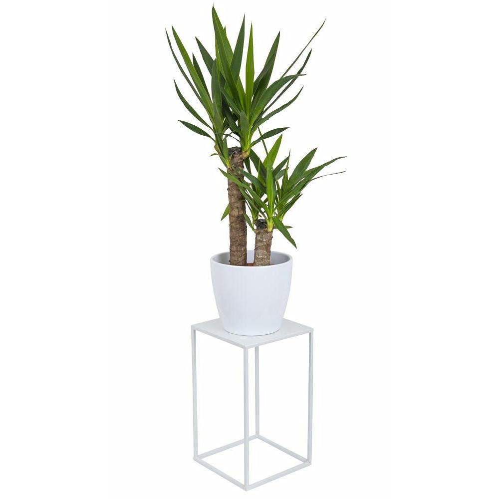 HowHomely Blumenständer Metall Weiss 40 cm Hoch - Solider und Robuster Blumenhocker Metall - Pflanze